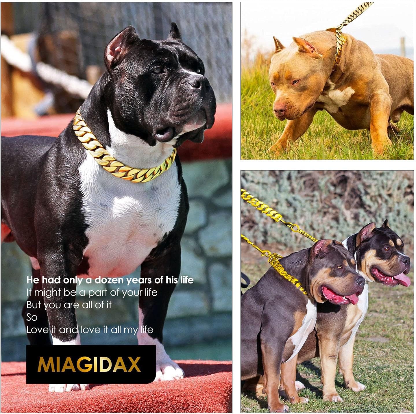 Big Dog Chain Collars,  32MM Thick Cuban Link Dog Collar Strong Metal Dog Cuban Link Collar with Buckle, Solid Stainless Steel Gold Dog Collars for Large Dogs