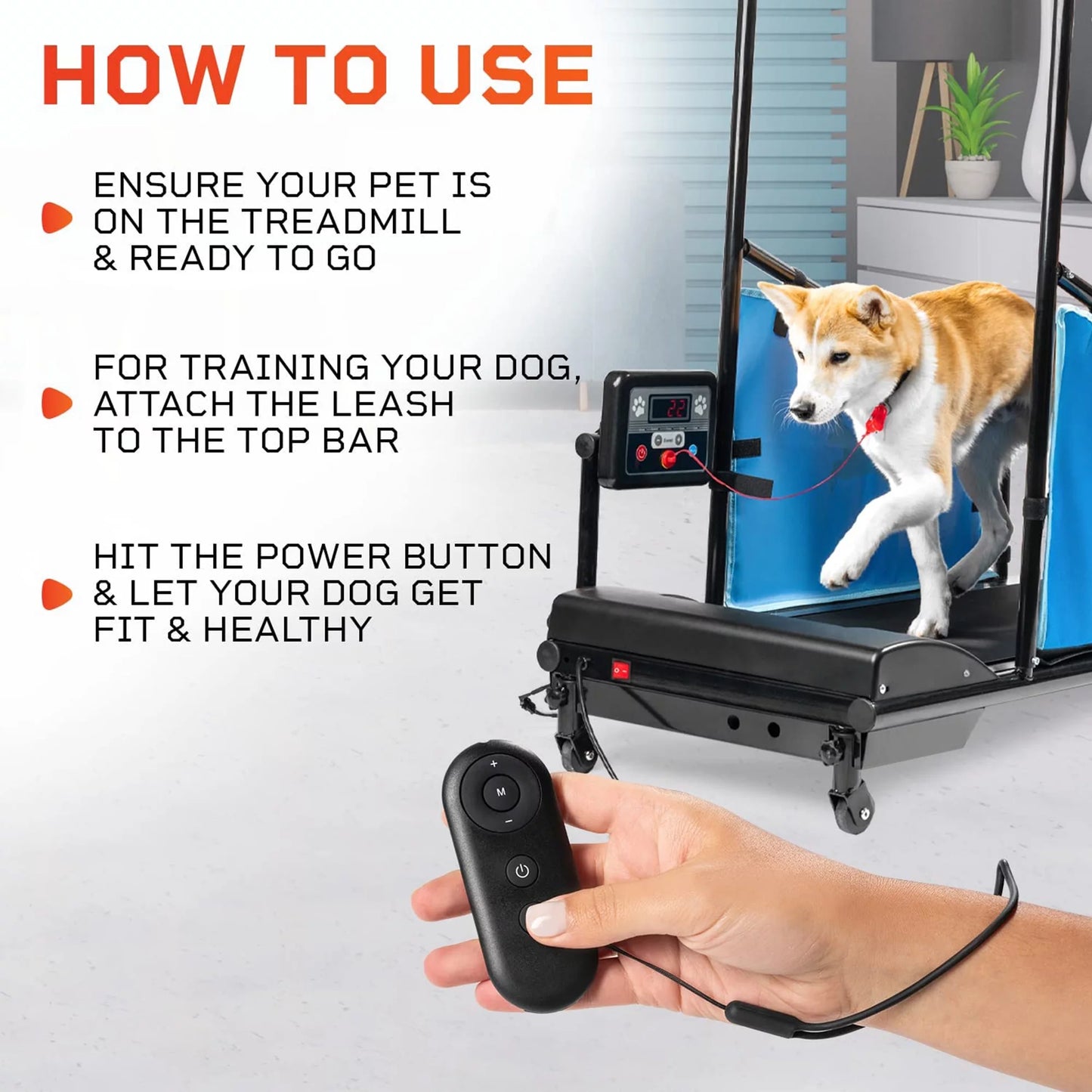 Paw Runner Remote Treadmill for Dogs Small & Medium - Agility Training Equipment