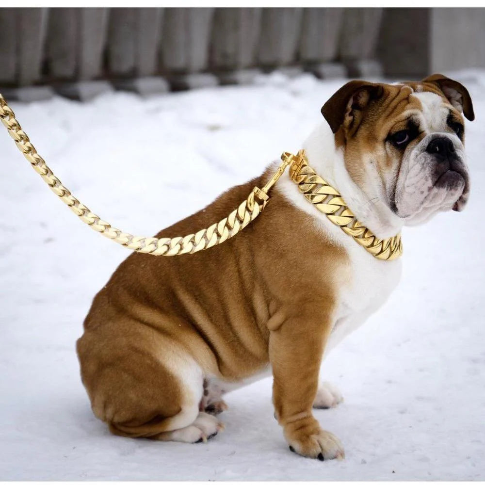 14K Gold-Plated Cuban Link Dog Leash by Big Dog Chains