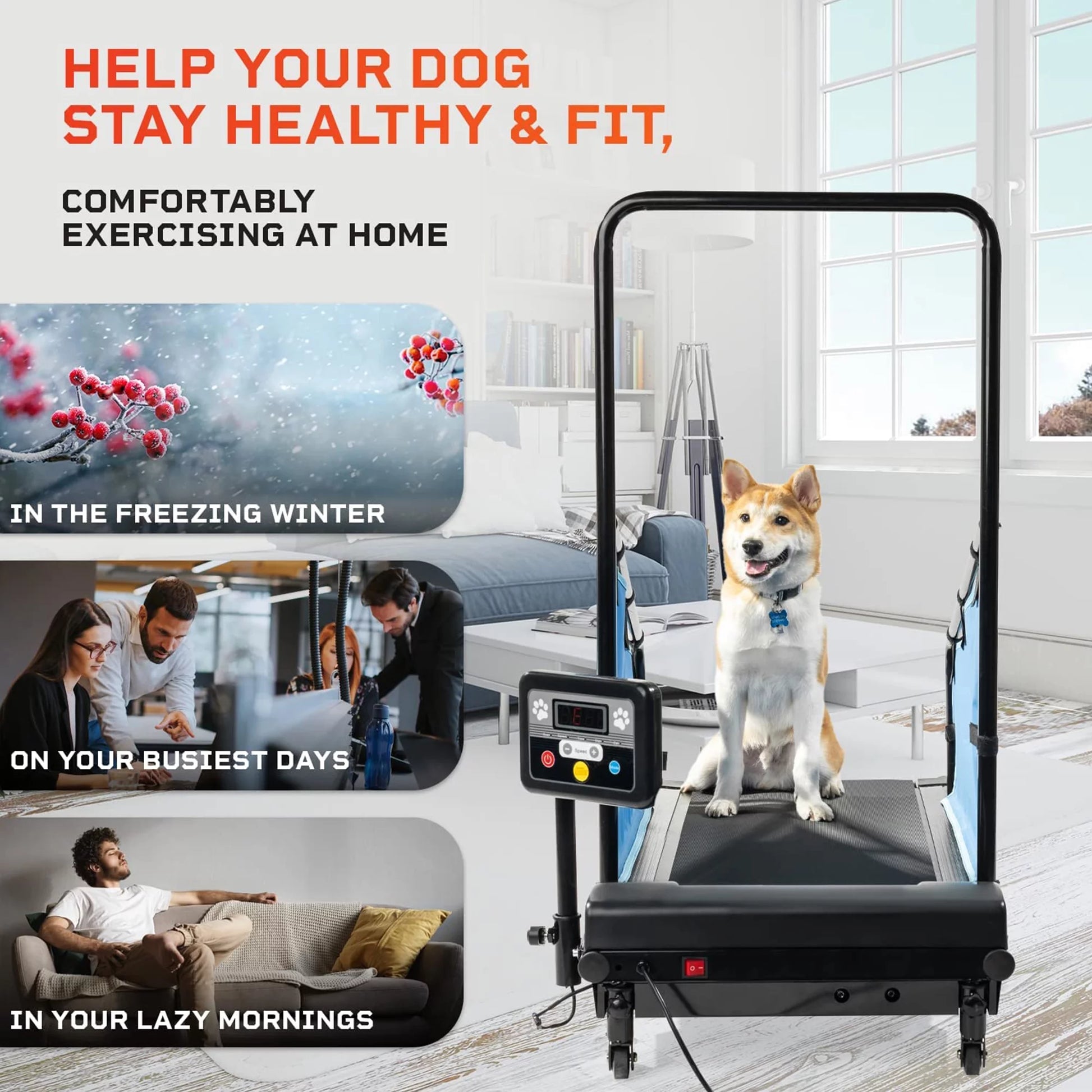 Paw Runner Remote Treadmill for Dogs Small & Medium - Agility Training Equipment