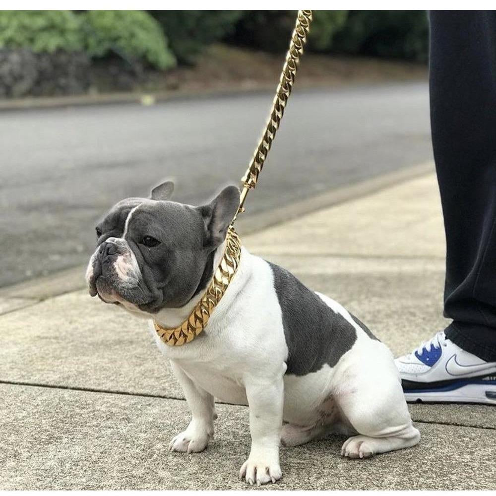 14K Gold-Plated Cuban Link Dog Leash by Big Dog Chains